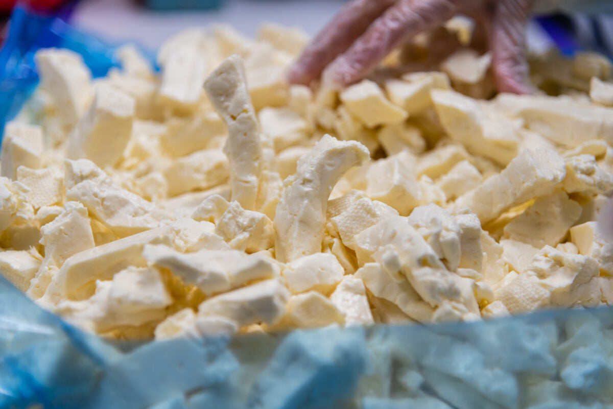 Plain Cheese Curd